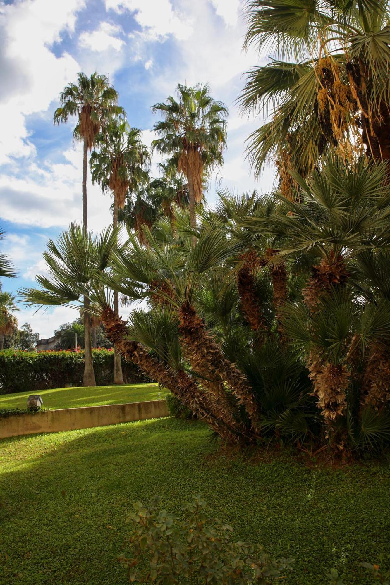 Duec Apartment Trapani